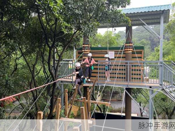 仙踪林网站：“探索神秘仙踪林，畅享自然与奇幻的完美结合”