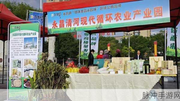 精产国品一二三产品区m553：提升精产国品品牌影响力，拓展一二三产品区域市场m553策略