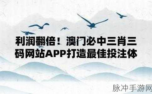 管家婆三肖三期必中一：揭秘管家婆三肖三的精准预测与实用技巧