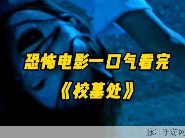 爆料51：揭秘爆料51：揭开隐藏在背后的真相与秘密