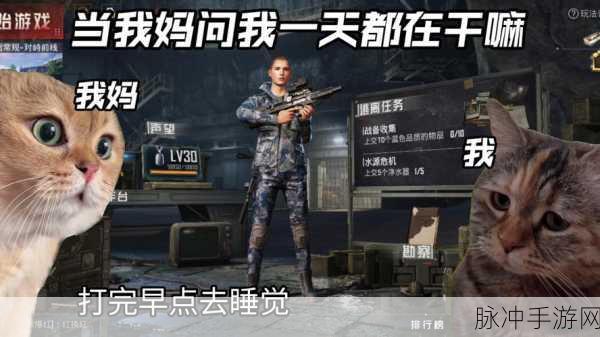 九幺破解版Pro：九幺破解版Pro：全新体验与无限挑战的冒险之旅