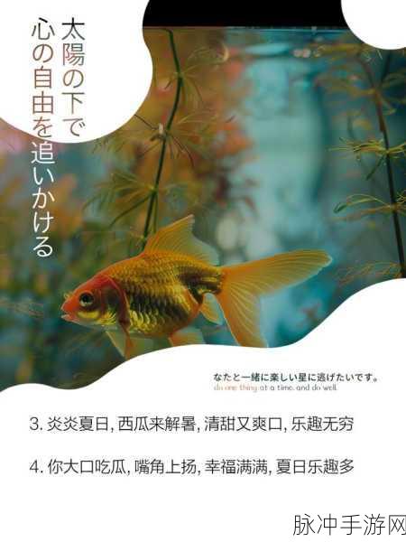 17吃瓜：17种方式让你轻松享受吃瓜的乐趣与新体验