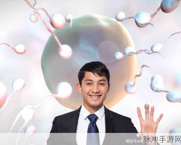 男人和女人在一起生猴子：男人和女人携手共创美好家庭迎接新生命
