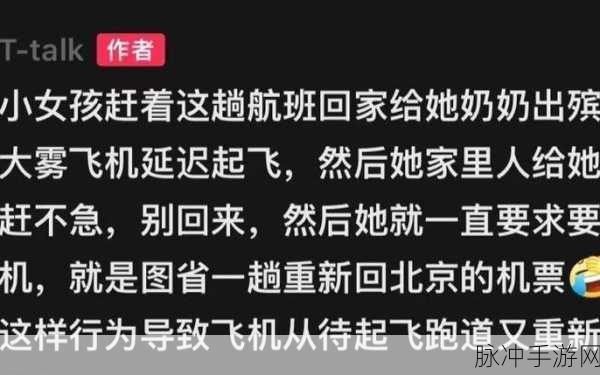 贰佰仙踪林金属信息网在线：探索贰佰仙踪林金属信息网的全新在线平台与服务