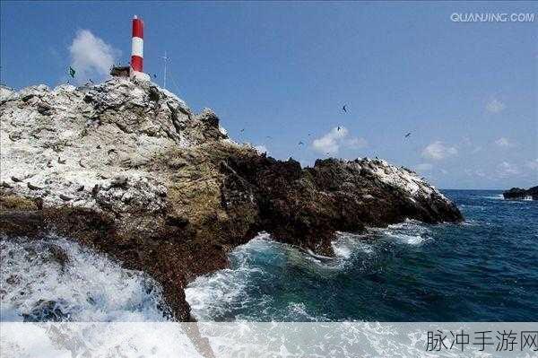 Atlantic ocean最新：探索大西洋的神秘深处与生态多样性之旅