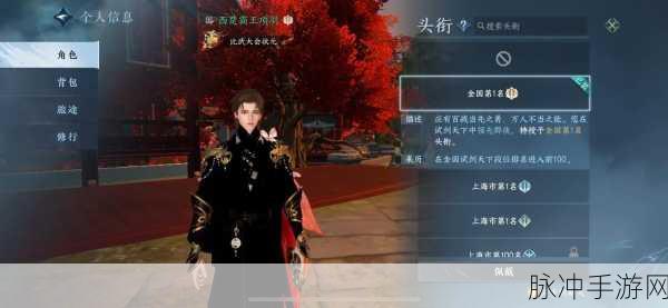 冠军的比武任务在哪做：在游戏中如何顺利完成拓展冠军的比武任务