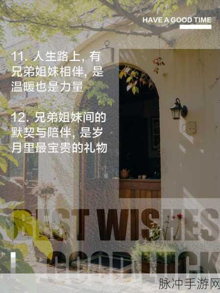 兄弟1v2前后插入：在兄弟情深的对抗中，1v2战局的前后插入解析
