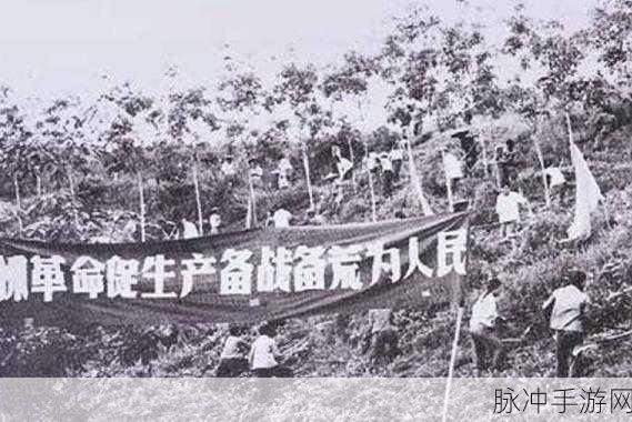 精产一二三产区m553：拓展精产一二三产业区，推动经济高质量发展新局面