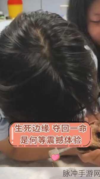 九幺9.1无风险免费版安装震撼：拓展九幺9.1无风险免费版安装教程，轻松体验震撼效果！
