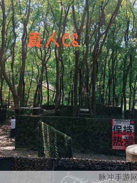 搞机time恶心10不要钱：打造无与伦比的恶搞时光，尽享欢乐无需花费！