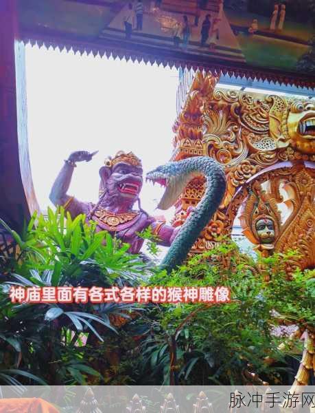 东南亚仙踪林：探寻东南亚仙踪林的神秘魅力与自然奇观