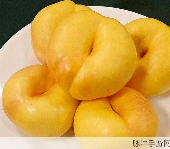坤坤寒进桃子里嗟嗟最新版本更新内容：《坤坤寒进桃子里嗟嗟》最新版本更新内容详解与新亮点介绍。