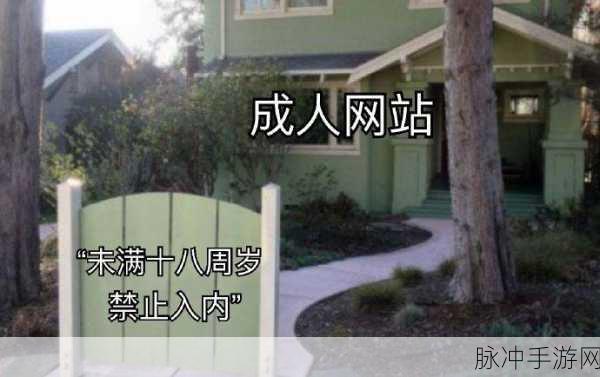18岁禁的网站：探索18岁以上用户的专属网站与内容资源平台。