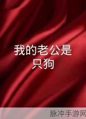 我的老公是只狗一郎：我的老公是只忠诚可爱的狗一郎，生活充满欢笑与温暖
