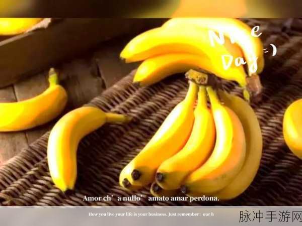 香蕉芭樂視頻www：探索蕉香魅力与芭乐鲜甜的奇妙视频之旅