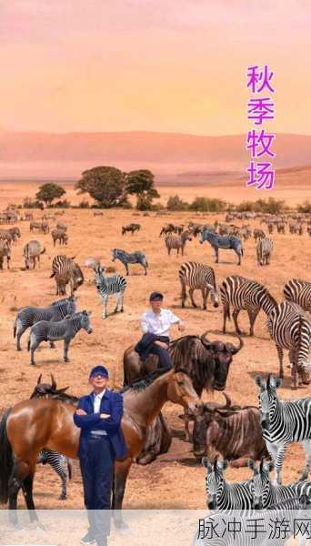牧场VjdeCs人与交Kg：拓展牧场：人与自然和谐共生的新篇章