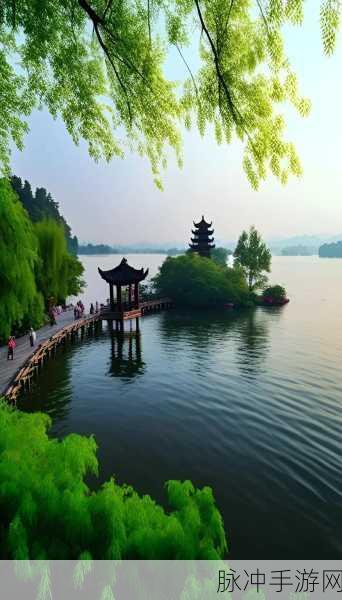 双手游走在你茂密的森林：在你的茂密森林中探索双手游走的奇妙旅程