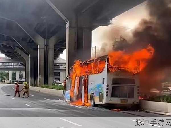 大巴车最后一排被进入：大巴车最后一排的奇妙经历与独特视角探秘