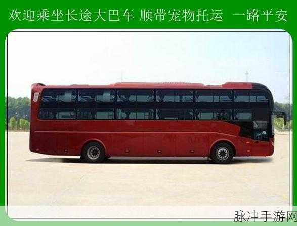 大巴车最后一排被进入：大巴车最后一排的奇妙经历与独特视角探秘