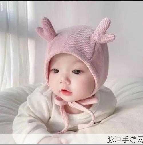 猎人仇恨最稳的宝宝：猎人仇恨输出最稳的宝宝选择与培养指南