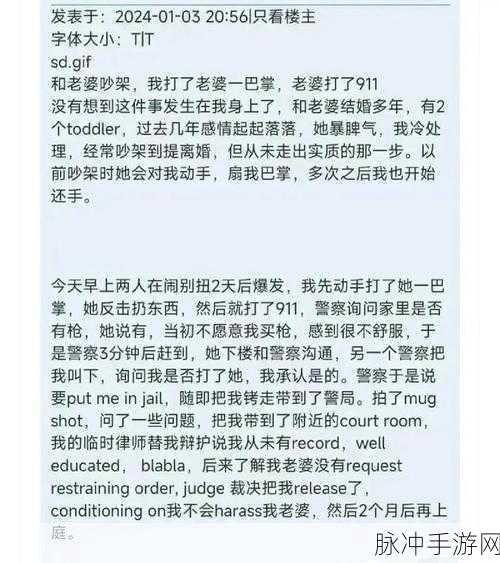 911爆料黑料王：揭秘911背后的黑料真相，震惊世界的内幕故事