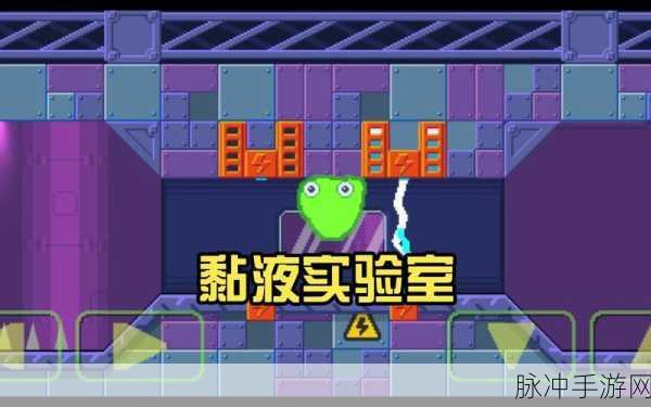 两个的视频www：1. ＂探索未知的世界：带你领略奇妙的视频之旅