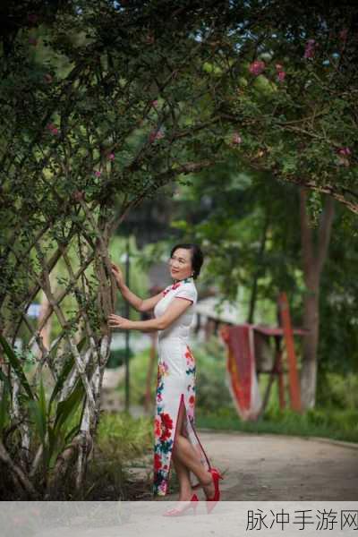 老师旗袍施恩：老师的优雅风姿：旗袍之美与教育情怀