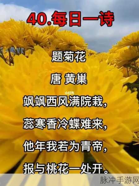 答错一题菊花放一支笔：错题后的反思：用菊花和一支笔记录成长的心路历程