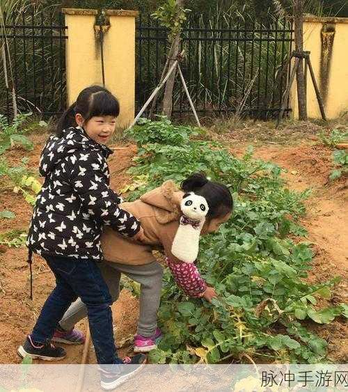小南和长门拔萝卜游戏：“趣味挑战：小南与长门的拔萝卜大赛欢乐进行时！”
