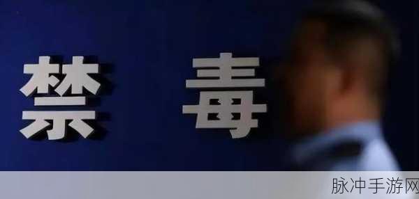 缉毒警睾丸：缉毒警勇担重任，捍卫社会安全与正义