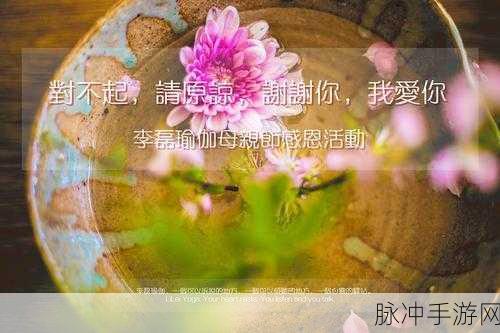 719y你会回来感谢我的：回首往事，719Y让我更加懂得感恩的意义