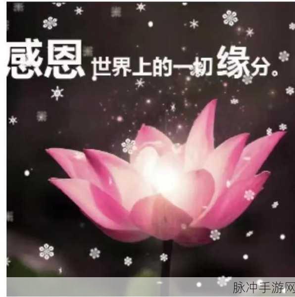 719y你会回来感谢我的：回首往事，719Y让我更加懂得感恩的意义