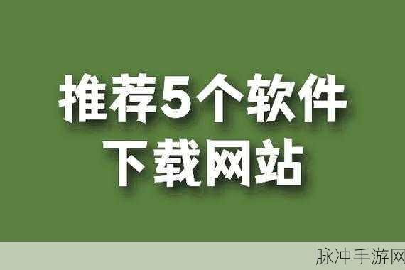 不良网站100下载：如何安全有效地下载不良网站的100个资源？