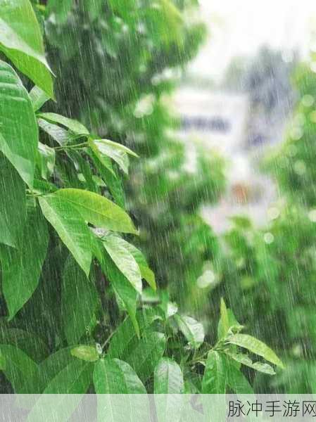 结合处粘腻水声拍打声：细雨纷飞，水波轻拍响起的温柔旋律