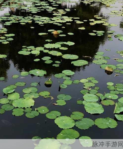 结合处粘腻水声拍打声：细雨纷飞，水波轻拍响起的温柔旋律