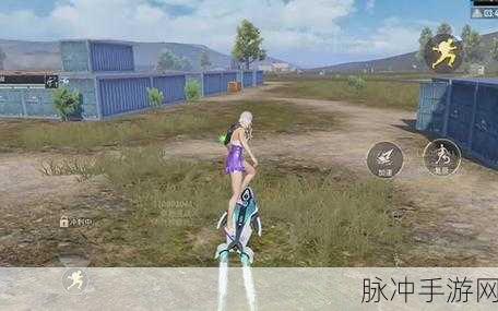 海洋之心和平精英同人：探索海洋之心，携手共进和平精英新征程