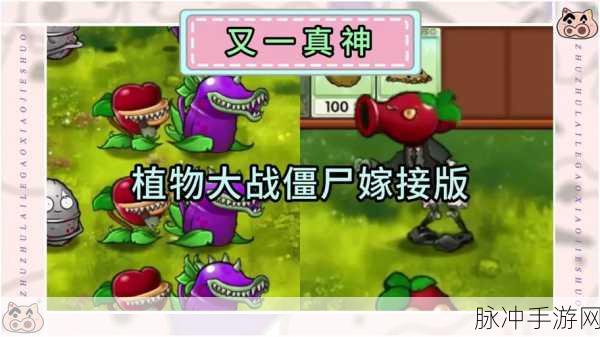 植物大战僵尸嫁接版指令大全：植物大战僵尸嫁接版全功能指令详细大全