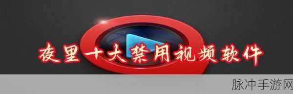 夜间十大禁用软件：夜间使用需谨慎：十大禁用软件全面解析与推荐