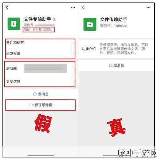 四库永久地域网名2024：探索四库永久地域：2024年全新网络命名之旅