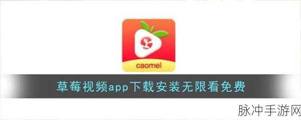 草莓视频下载污ios：草莓视频无限下载版iOS，畅享无广告高清视频体验
