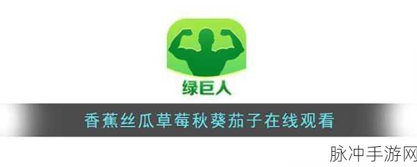 丝瓜草莓芭乐秋葵蕾丝榴莲：五彩缤纷的夏日果蔬盛宴：丝瓜、草莓与榴莲的奇妙搭配