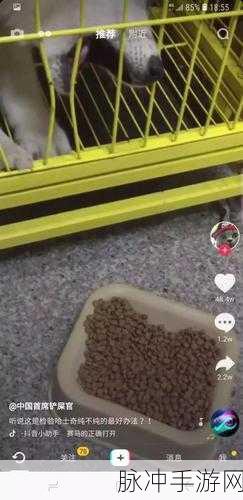 大香蕉视频app：探索无尽乐趣，畅享精彩视频的大香蕉应用！
