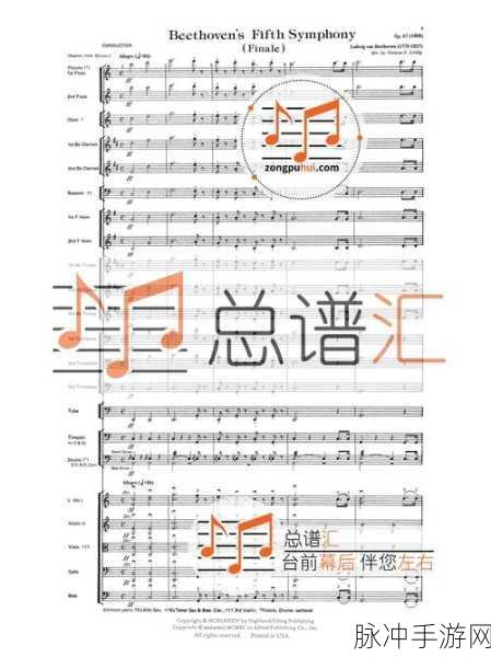游荡大家庭交响曲：游荡在家庭乐章中的多彩交响曲