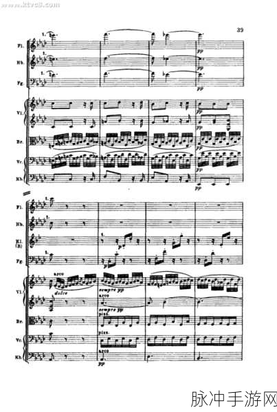 游荡大家庭交响曲：游荡在家庭乐章中的多彩交响曲