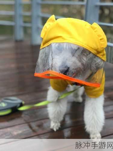 不带小雨衣特别舒服怎么回事：在不带小雨衣的情况下享受舒适体验的原因分析