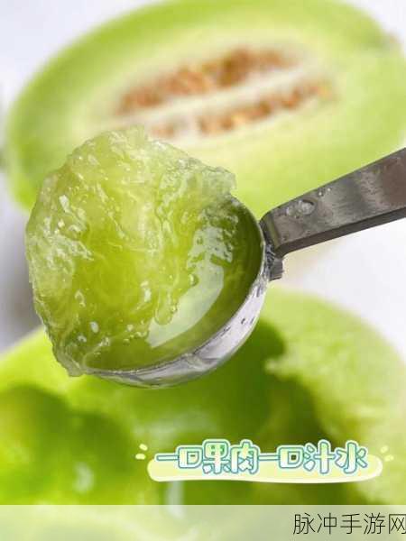 52吃瓜：52种美味吃瓜方式，让你夏日清凉享不停！
