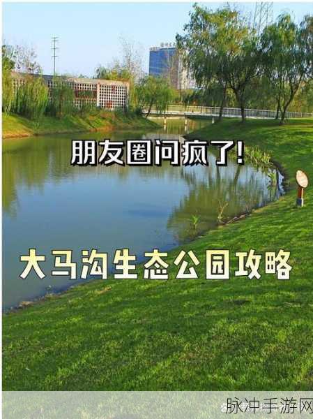 羞羞首页：探索羞羞首页的多样化内容与精彩体验，尽享无限乐趣！