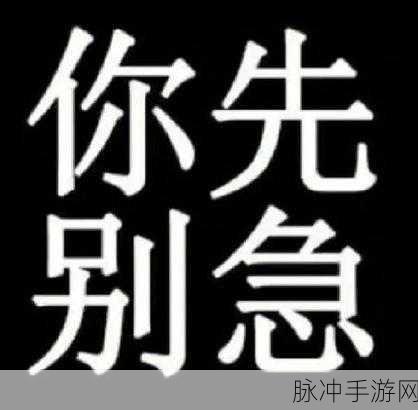 你急什么妈妈又不是不让你：别急，妈妈只是希望你能更好地规划时间