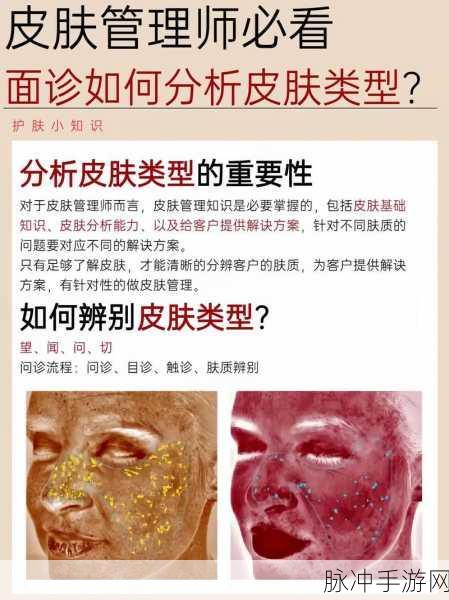 成品人和精品人的皮肤区别：拓展成品人和精品人的皮肤特征与风格深入比较分析