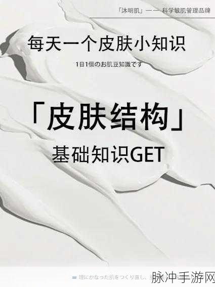 成品人和精品人的皮肤区别：拓展成品人和精品人的皮肤特征与风格深入比较分析